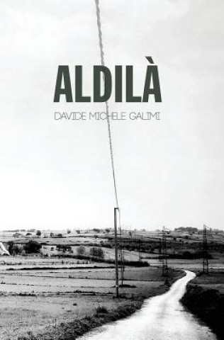 Knjiga Aldil? Davide Michele Galimi