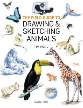 Book Field Guide to Drawing & Sketching Animals Tim Pond