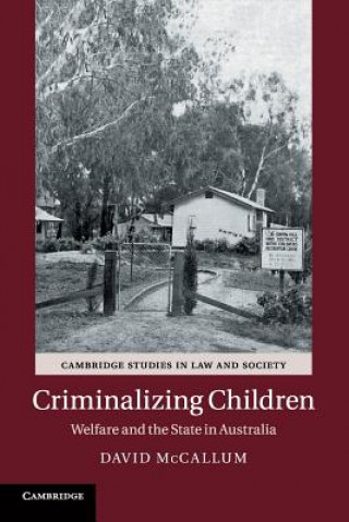 Boek Criminalizing Children David McCallum