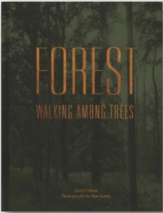 Buch Forest Matt Collins