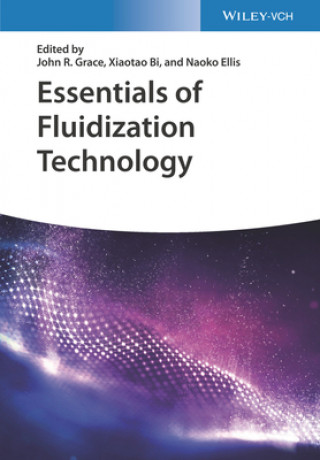 Könyv Essentials of Fluidization Technology John R. Grace
