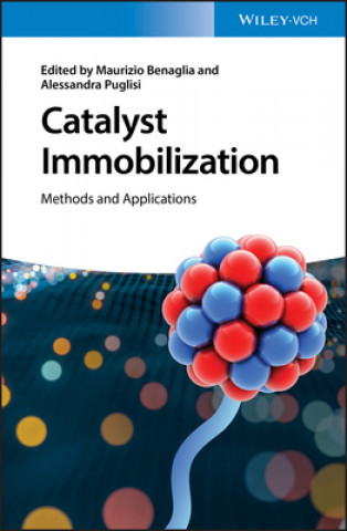 Buch Catalyst Immobilization - Methods and Applications Maurizio Benaglia