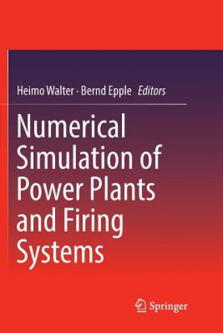 Książka Numerical Simulation of Power Plants and Firing Systems Bernd Epple