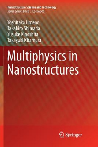 Knjiga Multiphysics in Nanostructures Yoshitaka Umeno