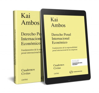 Buch DERECHO PENAL INTARNACIONAL ECONÓMICO (DÚO) KAI AMBOS