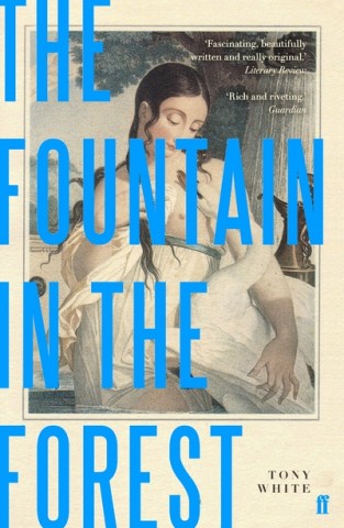Carte Fountain in the Forest Tony White