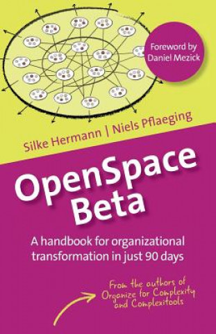 Книга OpenSpace Beta SILKE HERMANN