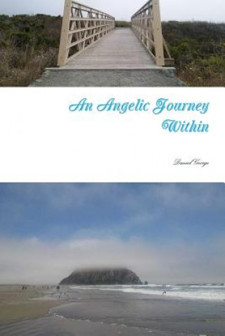 Buch Angelic Journey Within DANIEL GEORGE