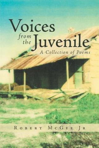 Kniha Voices from the Juvenile ROBERT MCGEE JR