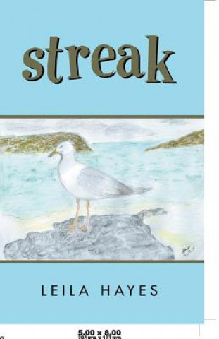 Knjiga Streak LEILA HAYES