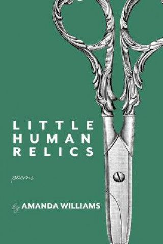 Kniha Little Human Relics Amanda Williams