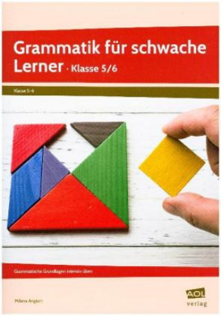 Kniha Grammatik für schwache Lerner - Klasse 5/6 Milena Angioni