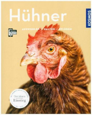 Könyv Hühner Anja Steinkamp
