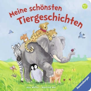 Kniha Meine schönsten Tiergeschichten Manfred Mai