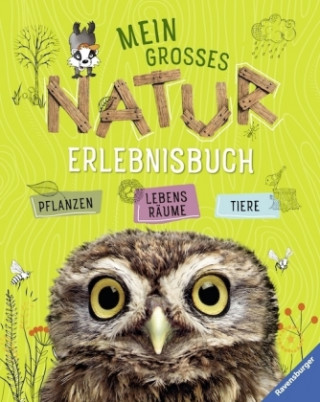 Carte Mein großes Natur-Erlebnisbuch Angelika Lenz