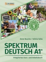 Kniha Spektrum Deutsch A1+: Teilband 1 Anne Buscha