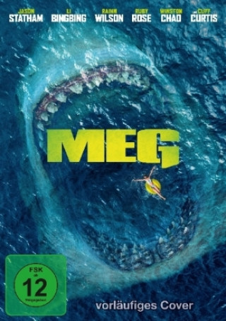 Video MEG, 1 DVD Steven Kemper