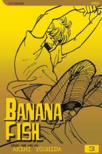 Carte Banana Fish, Volume 3 Akimi Yoshida