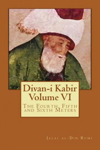 Book Divan-i Kabir, Volume VI: The Fourth, Fifth and Sixth Meters Jalal al-Din Rumi