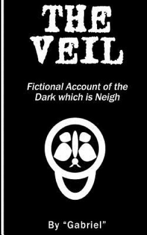 Könyv The Veil: Fictional Account of the Dark which is Neigh Gabriel Angel