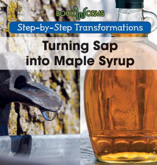 Knjiga Turning SAP Into Maple Syrup Amy Hayes