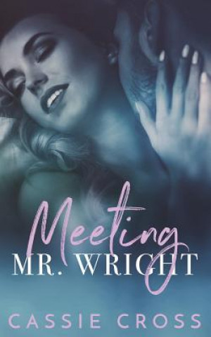 Knjiga Meeting Mr. Wright Mayhem Cover Creations