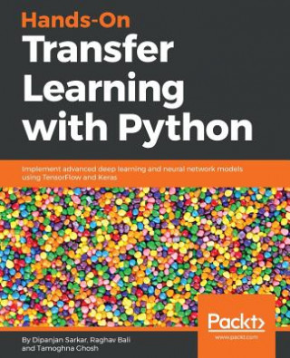Kniha Hands-On Transfer Learning with Python Sarkar