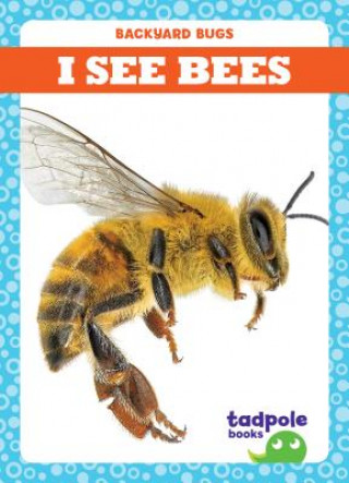 Könyv I See Bees Genevieve Nilsen