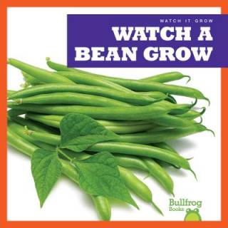 Книга Watch a Bean Grow Kirsten Chang