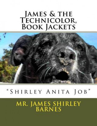 Kniha James & the Technicolor, Book Jackets: James "Shirley Anita Job" Barnes James Shirley Barnes