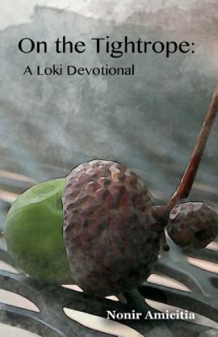 Buch On the Tightrope: A Loki Devotional Nonir Amicitia