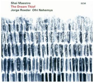 Audio Shai Maestro Trio - The Dream Thief, 1 Audio-CD Shai Maestro Trio