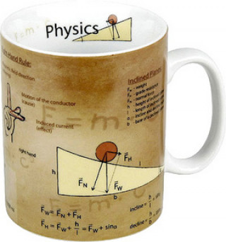 Kniha Hrnek Physics 
