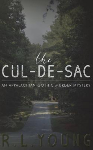 Książka The Cul-de-Sac: An Appalachian Gothic Murder Mystery R L Young