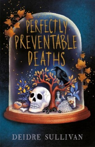 Kniha Perfectly Preventable Deaths Deirdre Sullivan
