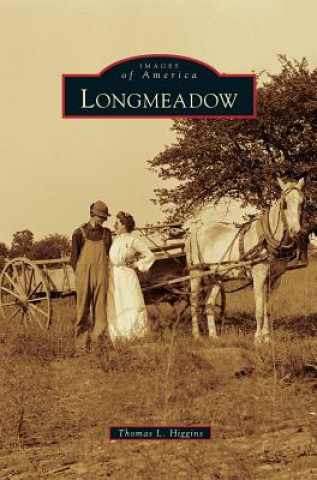 Knjiga Longmeadow Thomas L Higgins