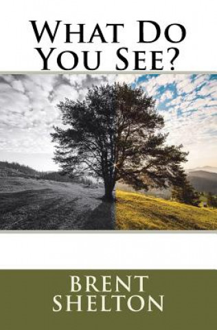 Knjiga What Do You See? Mr Brent D Shelton