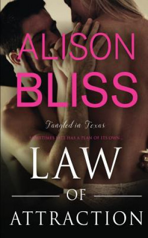 Kniha Law of Attraction Alison Bliss