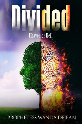 Buch Divided: Heaven or Hell Wanda Dejean