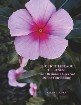Carte The True Lineage of Jesus Christ: Your Beginning Does Not Define Your Ending Velyn Cooper