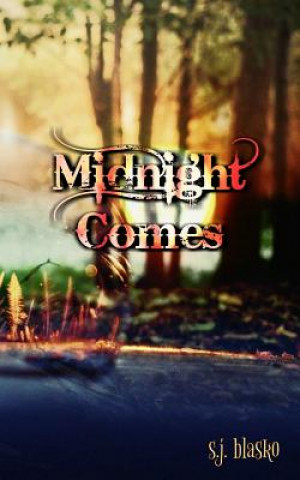 Книга Midnight Comes S J Blasko