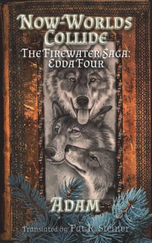 Könyv Now-Worlds Collide: The Firewater Saga: Edda Four Pat R Steiner