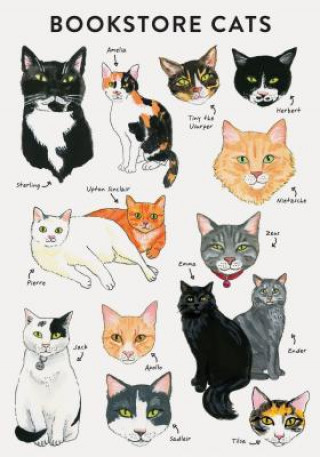 Kalendář/Diář Bibliophile Flexi Journal: Bookstore Cats Jane Mount