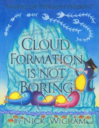 Knjiga Cloud Formation is not Boring! Nick Wigram