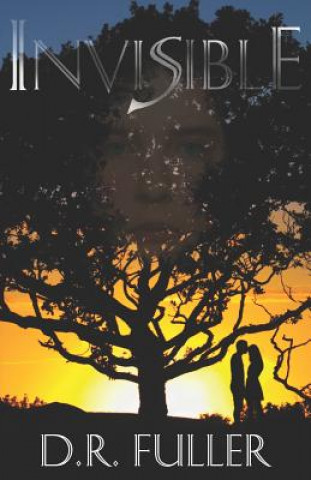 Knjiga Invisible Daniel Ray Fuller