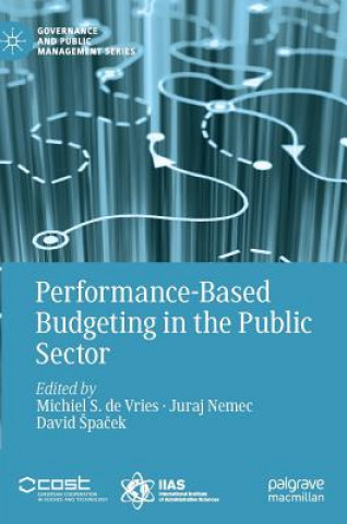 Kniha Performance-Based Budgeting in the Public Sector Michiel S. De Vries