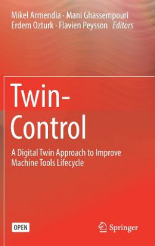 Buch Twin-Control Mikel Armendia