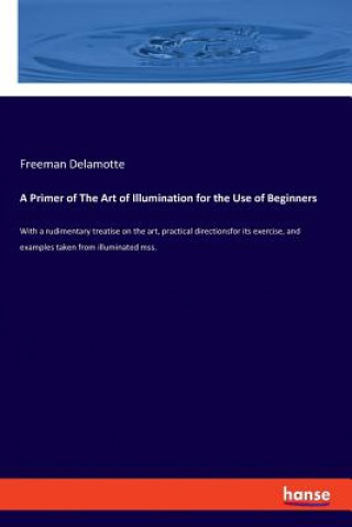 Kniha Primer of The Art of Illumination for the Use of Beginners FREEMAN DELAMOTTE