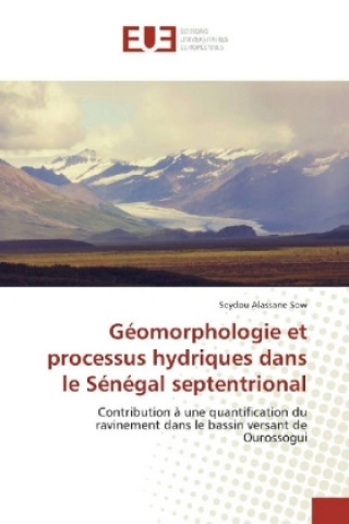 Könyv Géomorphologie et processus hydriques dans le Sénégal septentrional Seydou Alassane Sow