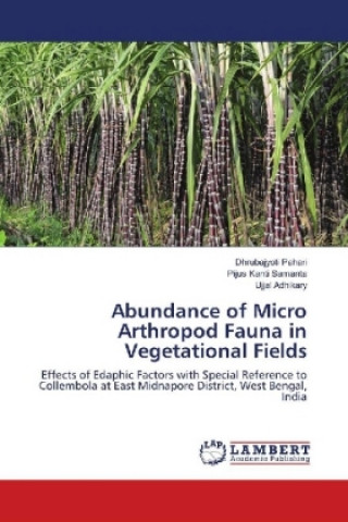 Könyv Abundance of Micro Arthropod Fauna in Vegetational Fields Dhrubajyoti Pahari